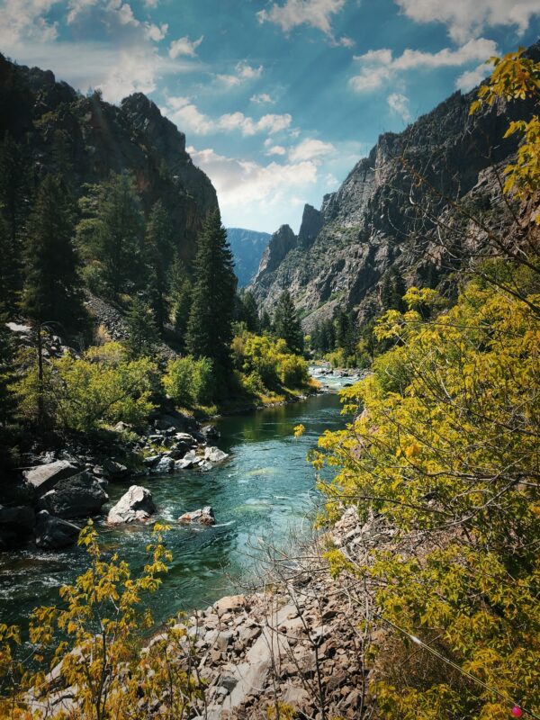 Scenic view of Gunnison River surrounded by rocky cliffs and lush greenery.