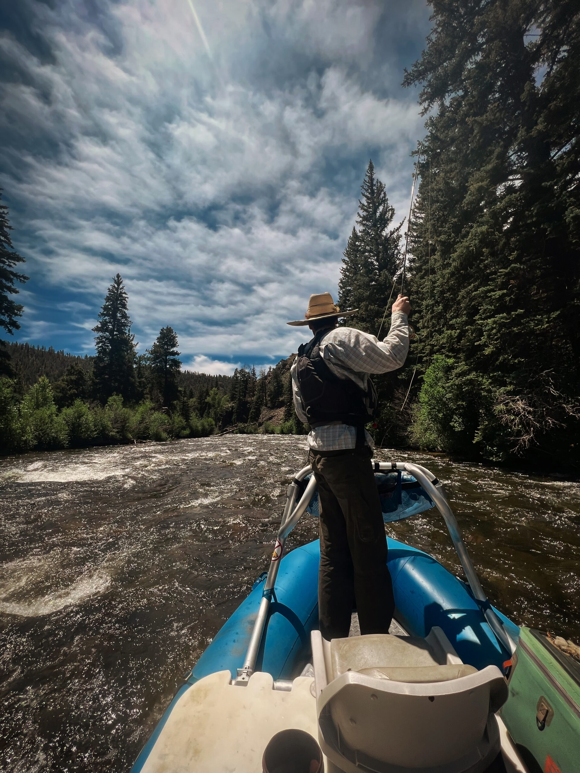 Fly fisherman standing on a boat, casting a line on a river surrounded by tall pine trees under a cloudy sky.