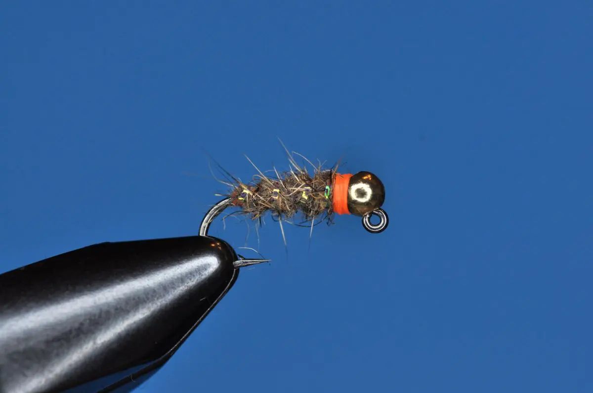 Walts_worm Walts_worm