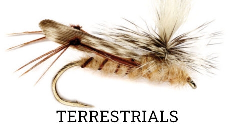 Terrestrial Fly Fishing in Gunnison