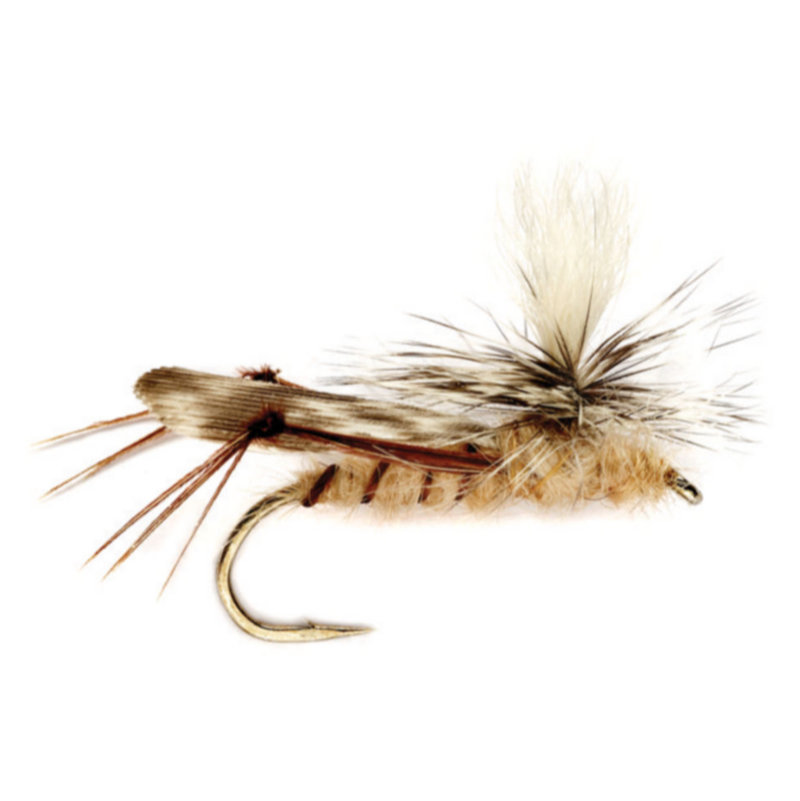 gunnison_fly_fishing-fly_identification-terrestrial-image-1 Why Terrestrials Matter