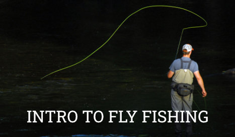 Introduction to fly fishing
